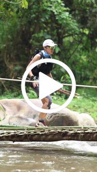 BIB:  <button type="button" onclick="openModal(26800525)" class="btn btn-primary btn-sm float-right" data-toggle="modal" data-target=".modal-high-quality">
                <i class="fa fa-download"></i> Download
                </button>